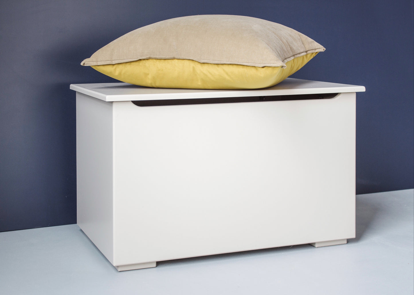 Leo storage box - The Room